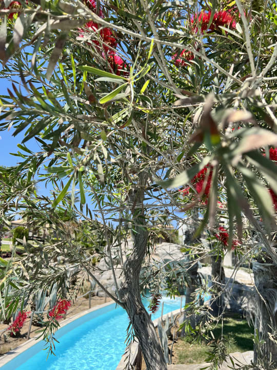 Gartenanlage Grecotel LUXME Kos