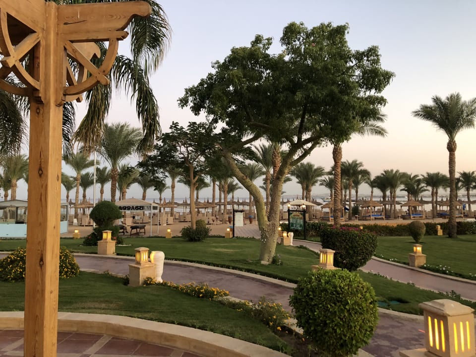 Gartenanlage Pickalbatros Palace Resort