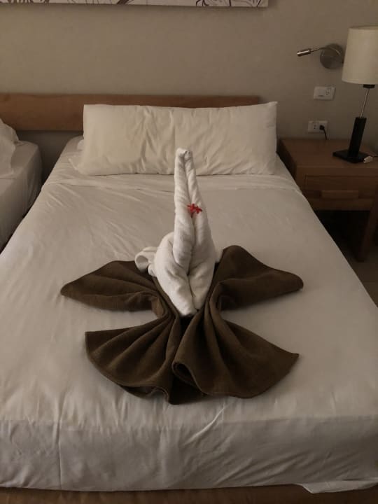 Zimmer Starfish Cuatro Palmas