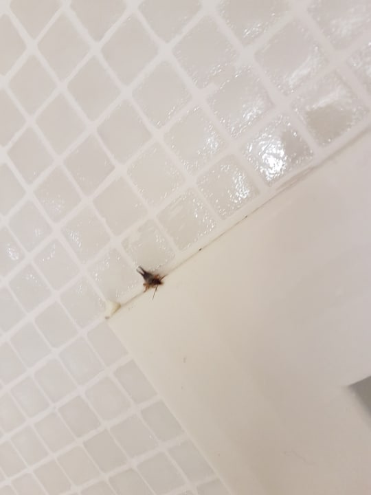 Zimmer Schlosshotel Bad Wilhelmshöhe Conference & Spa