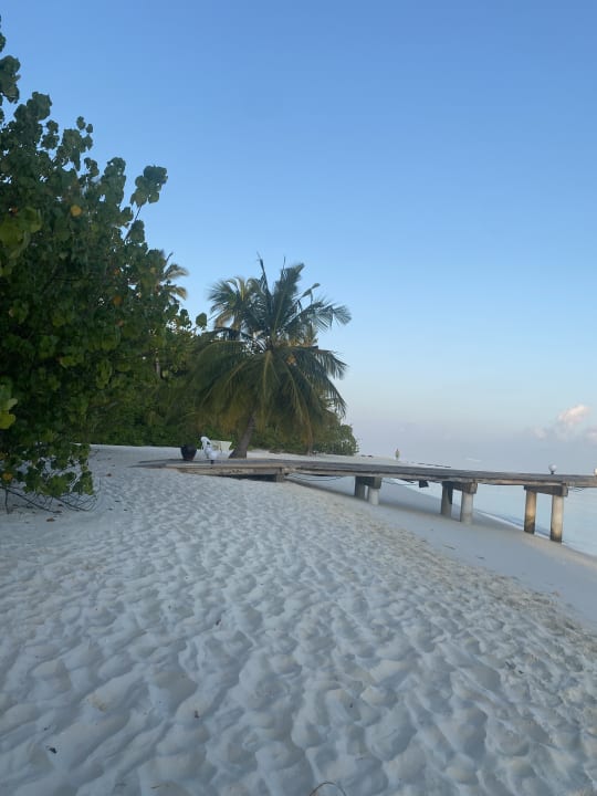 Strand Safari Island Maldives