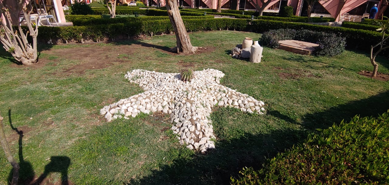 Gartenanlage Eagles Paradise Abu Soma