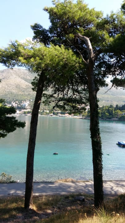 Ausblick Remisens Hotel Albatros