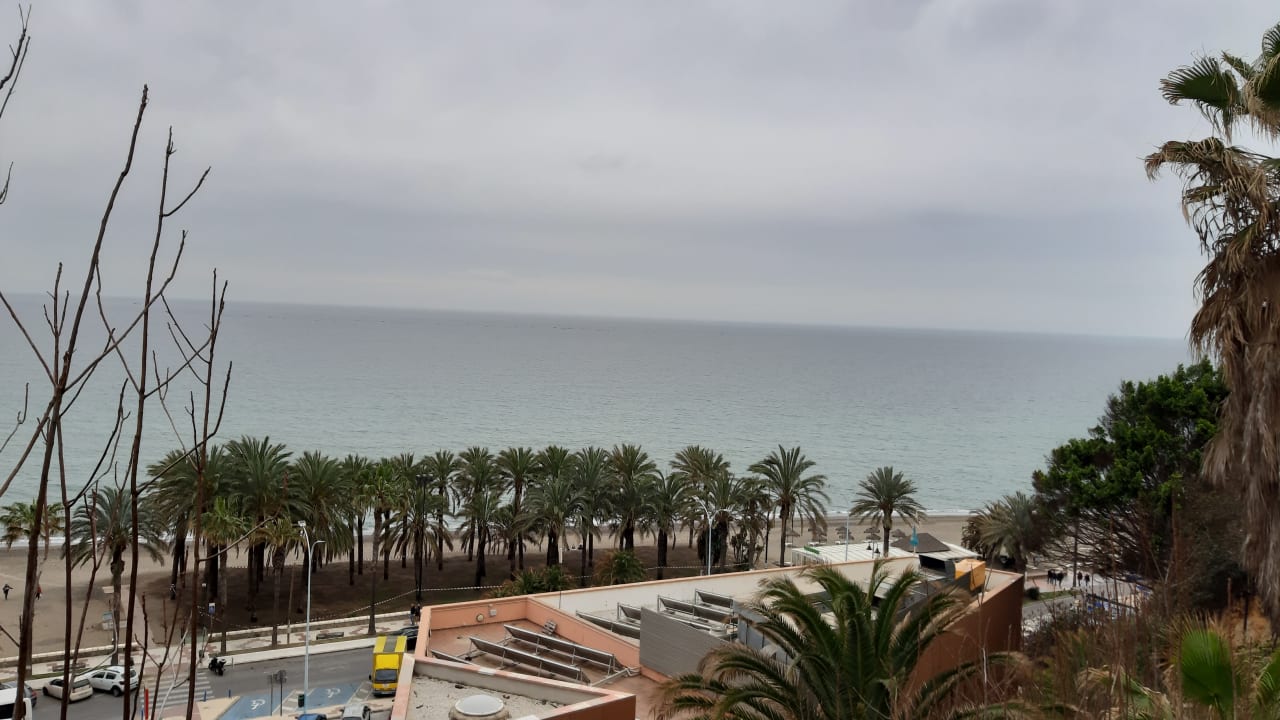 Ausblick BLUESEA Gran Cervantes