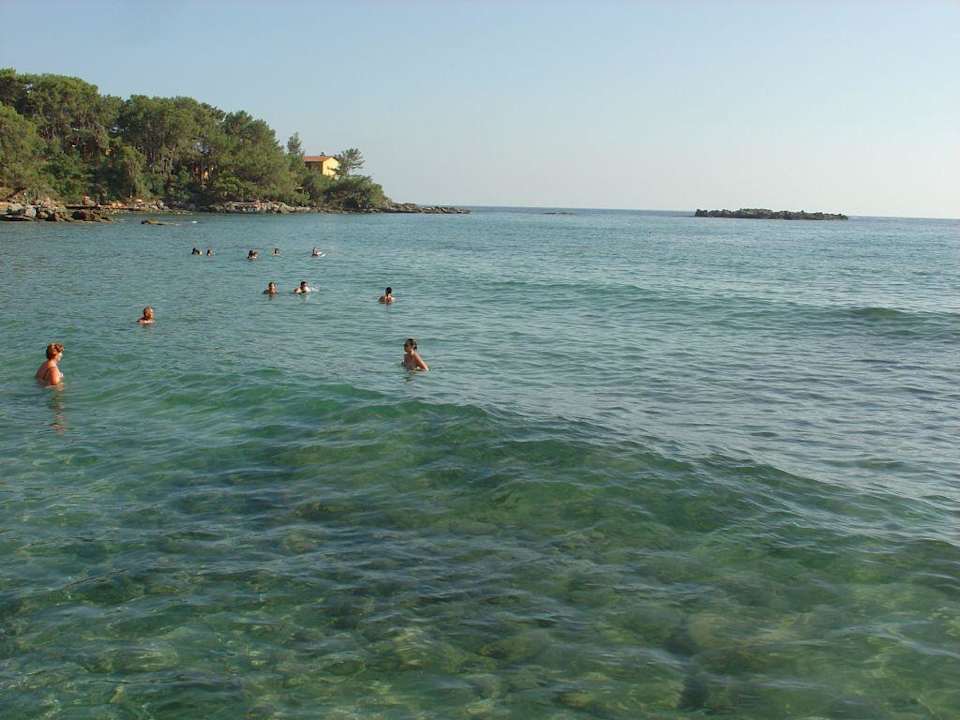 Beim  Baden Top Hotel