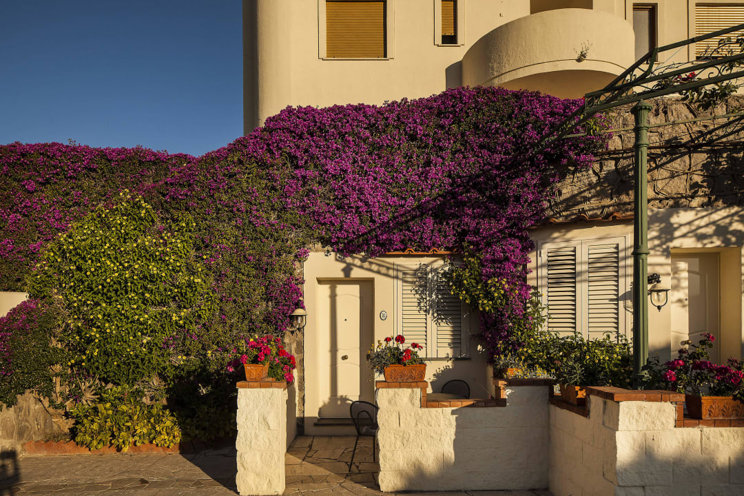 Esterno con angolo giardino Hotel Grazia Terme