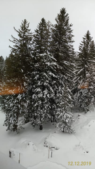 Ausblick Säntis - das Hotel