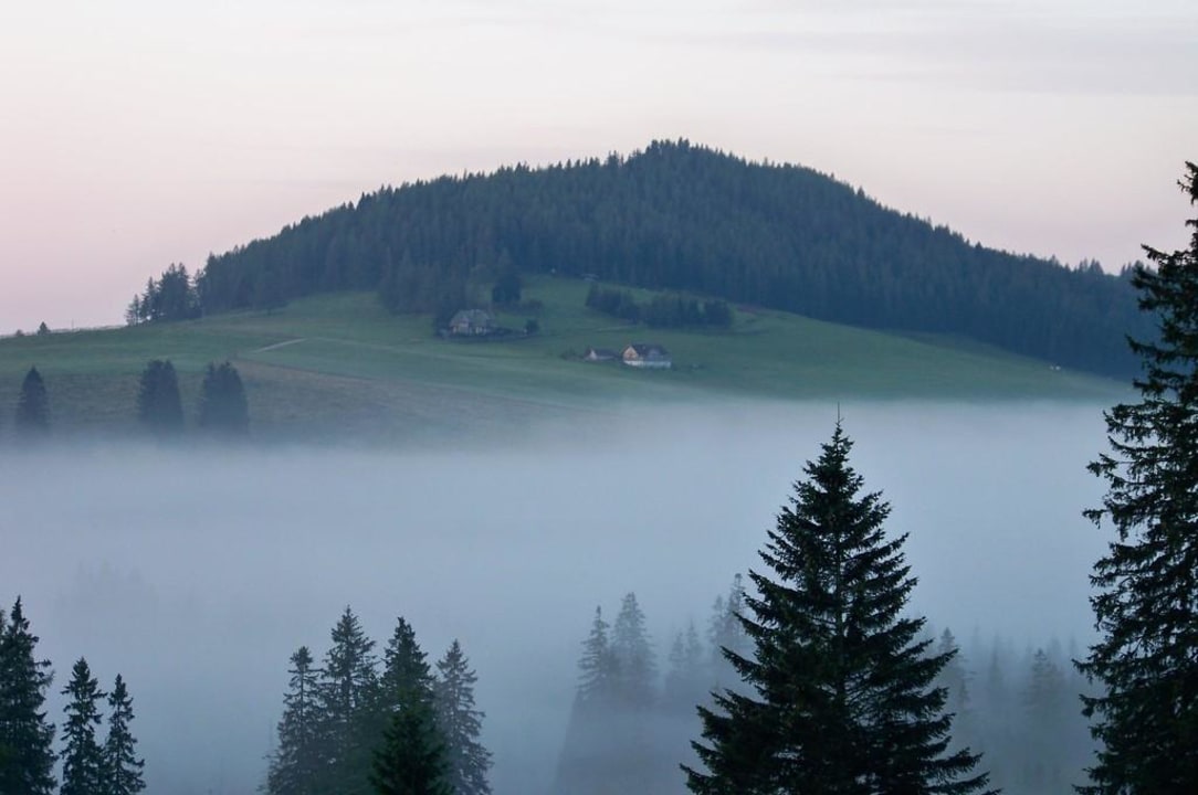 Im Nebel eingehüllter Teichalmsee Almwellness Hotel Pierer