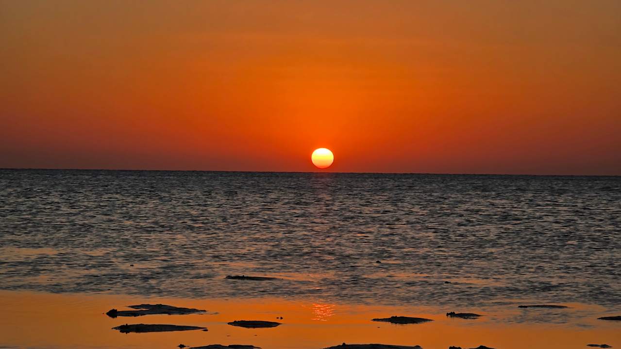 Strand JAZ Elite Asteria