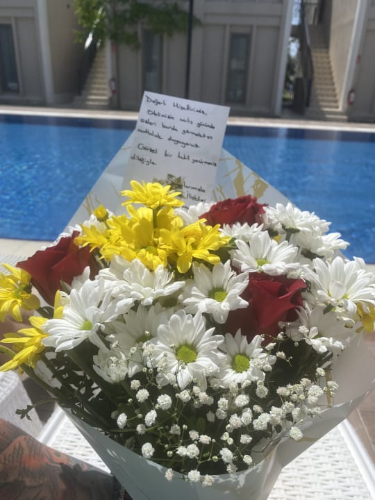 Pool Duja Didim Hotel