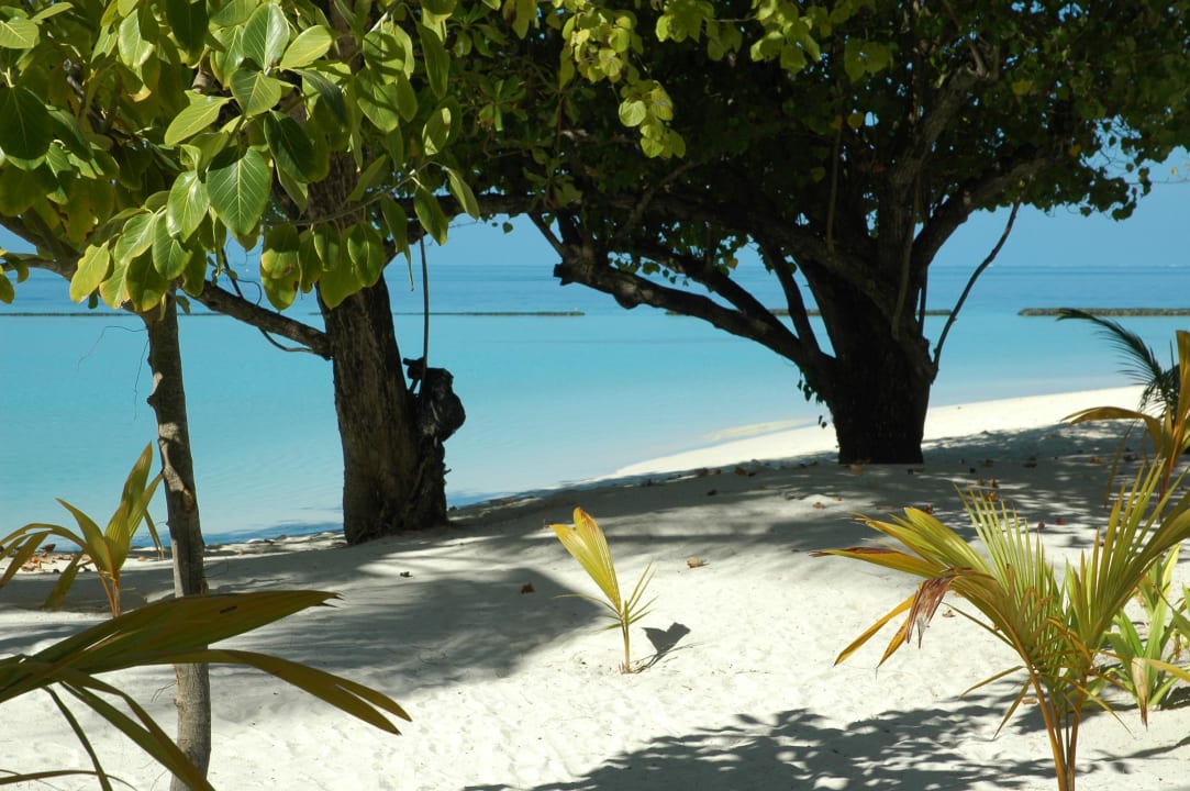 Strand Constance Moofushi Maldives
