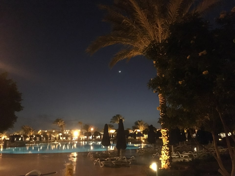 Gartenanlage Desert Rose