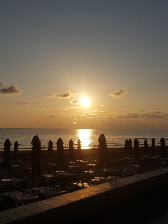 Strand PALOMA Perissia