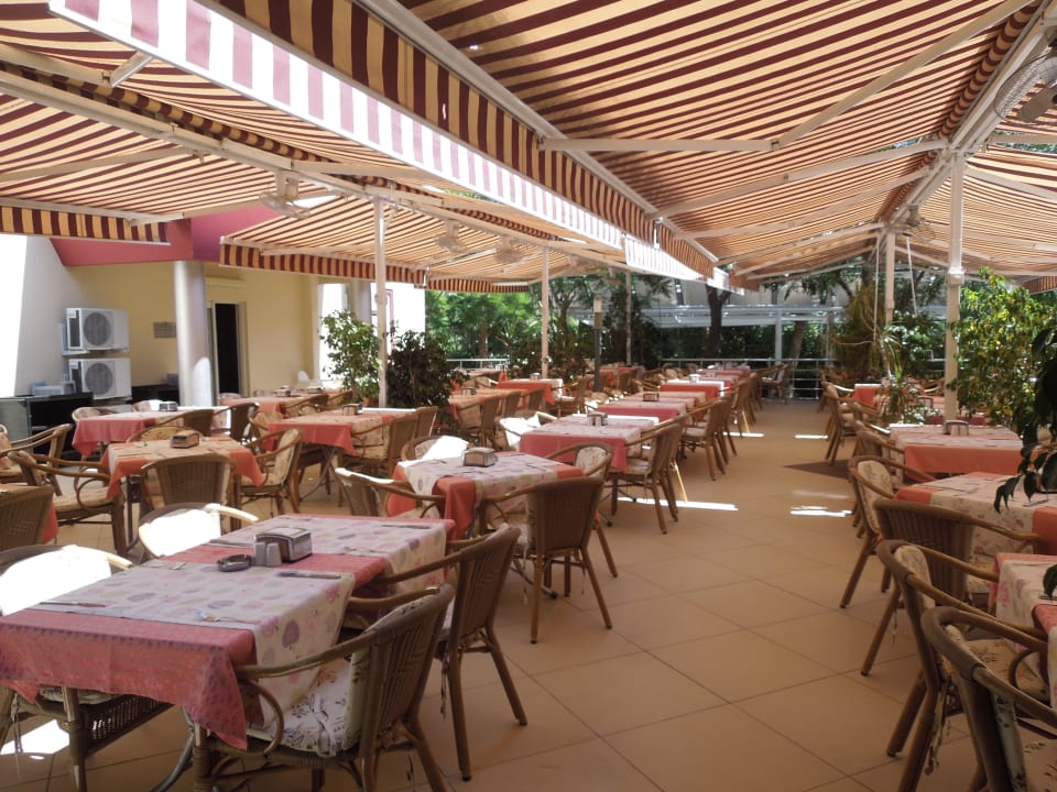 Restaurantterrasse Hotel Orfeus Park