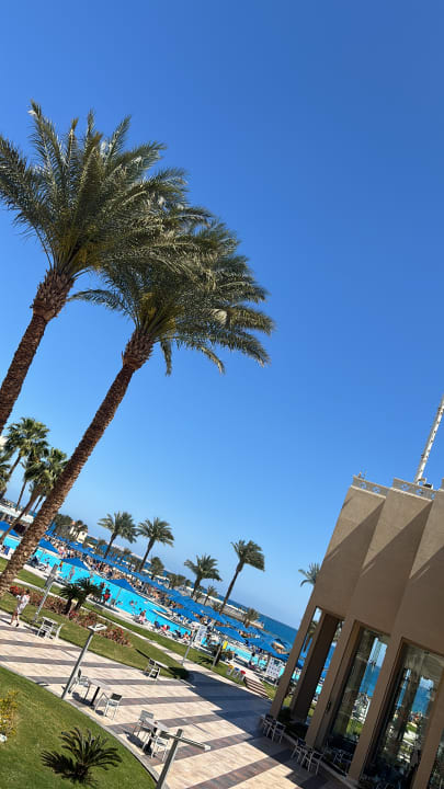 Außenansicht Beach Albatros Resort