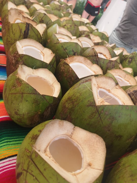 Gastro Hotel Riu Tequila