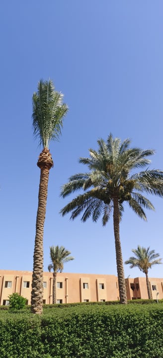 Gartenanlage Stella Garden Resort & Spa, Makadi Bay