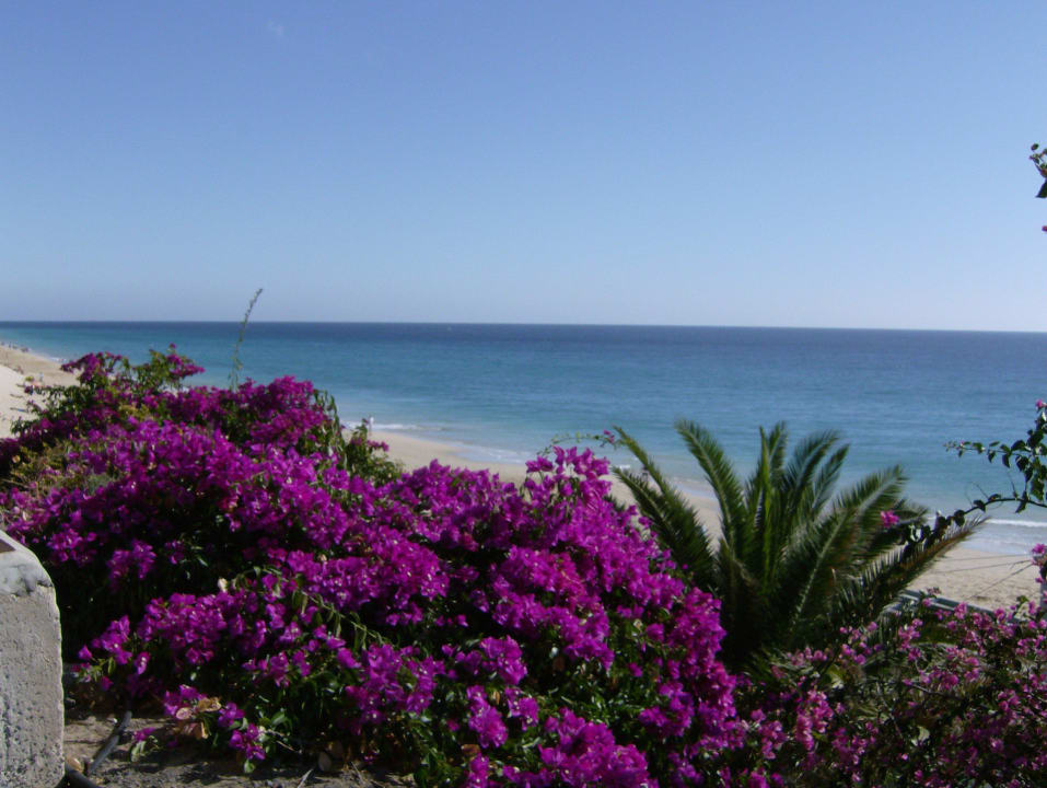 Ein schöner Ausblick Hotel Riu Palace Jandia