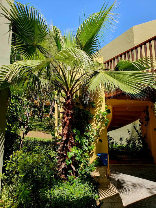 Gartenanlage Blue Waters Club