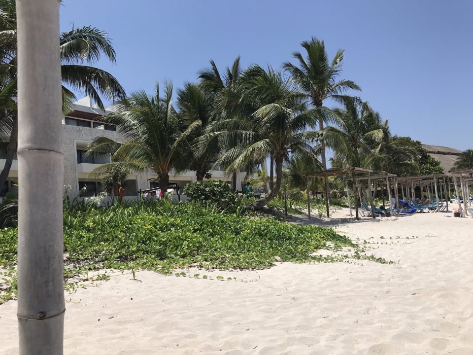 Strand Akumal Bay Beach & Wellness Resort