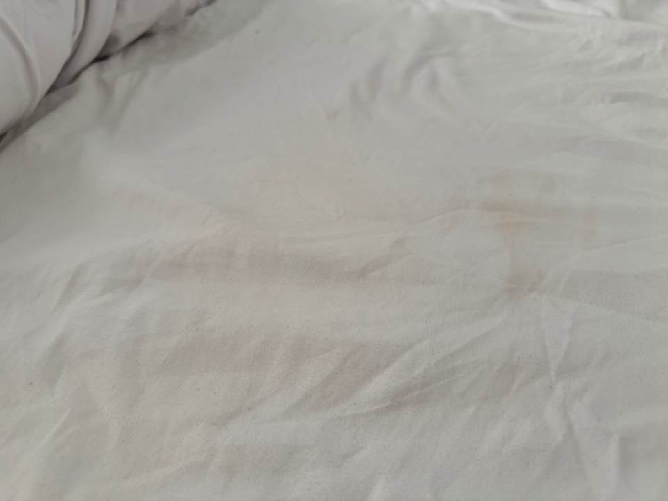 Zimmer White Valley Palace