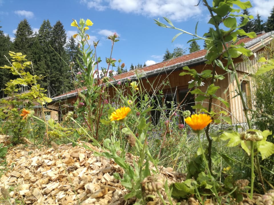 Gartenanlage Dobringers Chalet-Dorf Warös