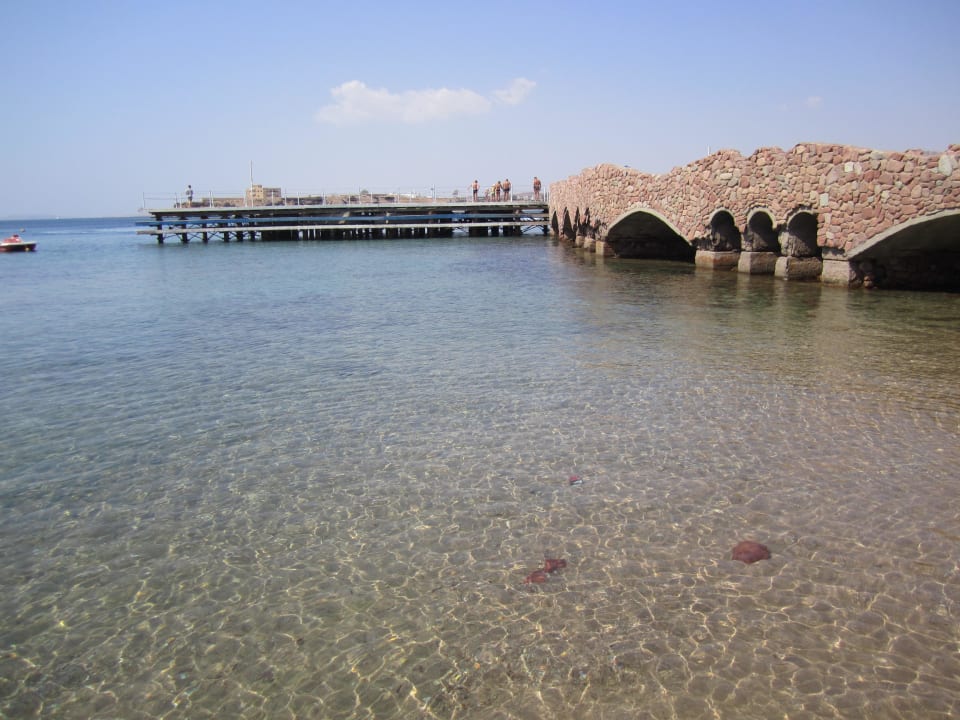 Hotel Aqua Blu Sharm el Sheikh Pickalbatros Aqua Blu Resort - Sharm El Sheikh