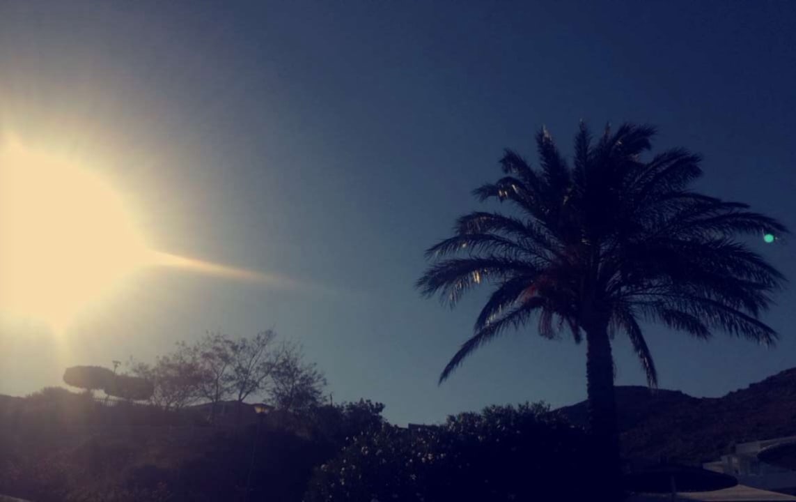 Ausblick Dimitra Beach Hotel & Suites