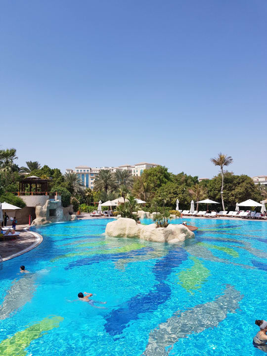 Pool Grand Hyatt Dubai
