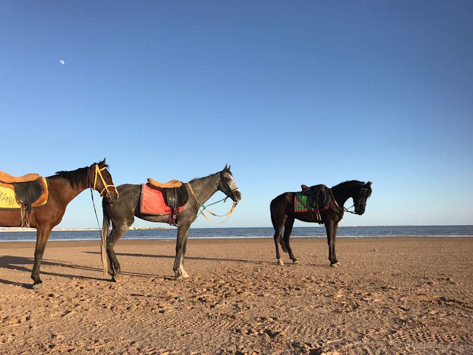 Strand Sentido Caribbean World Soma Bay