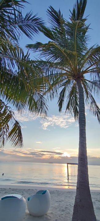 Strand Meeru Maldives Resort Island