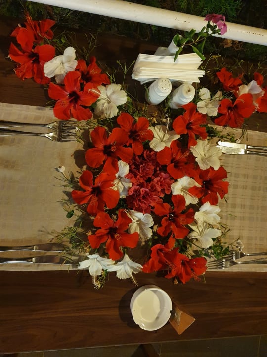 Gastro Hotel Defne Star