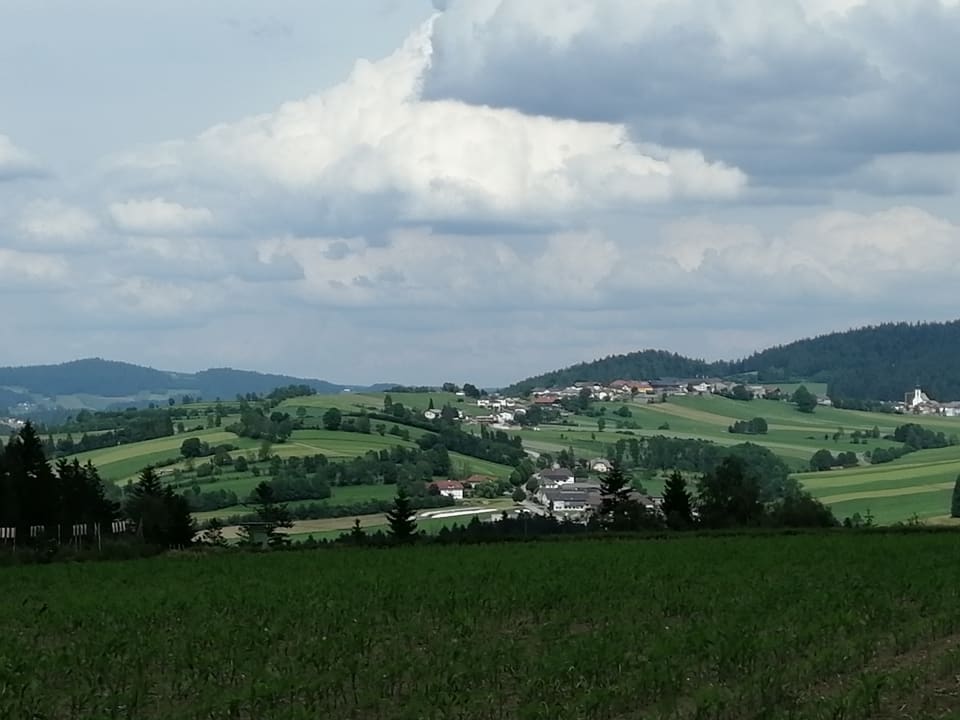 Ausblick Landhotel Rosenberger