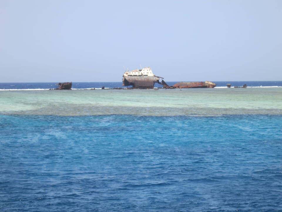 Wrack im Meer und Rifftauchen Regency Plaza Aqua Park & Spa