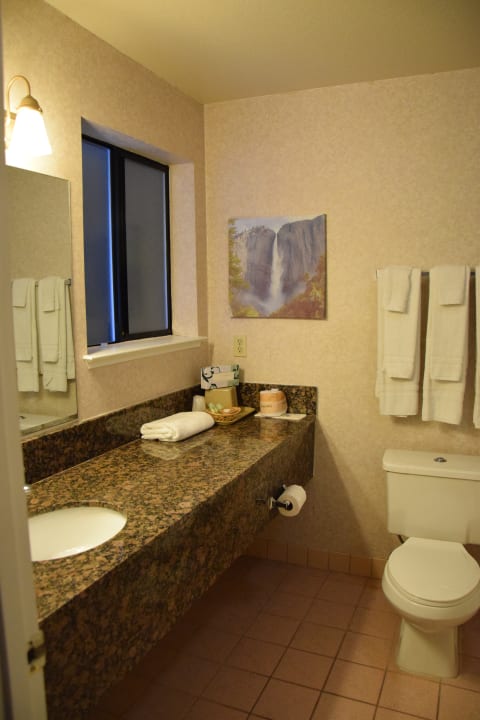 Zimmer Hotel Yosemite View Lodge