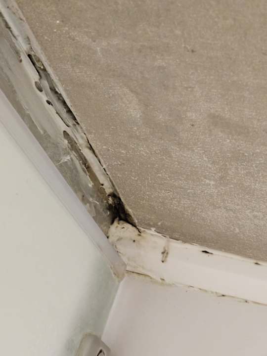 Zimmer Kamelya Fulya Hotel