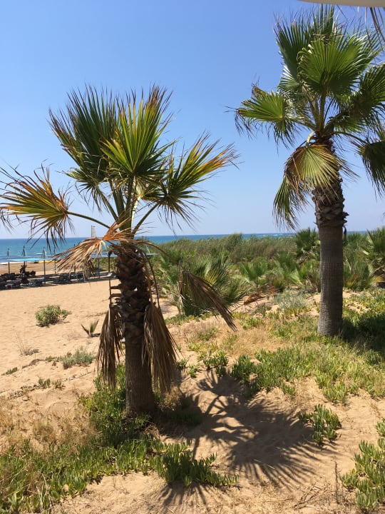 Strand Club Grand Aqua