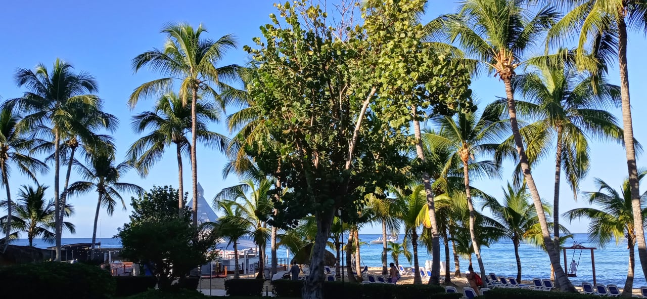 Gartenanlage Hotel Viva Dominicus Palace by Wyndham-All Inclusive Resort