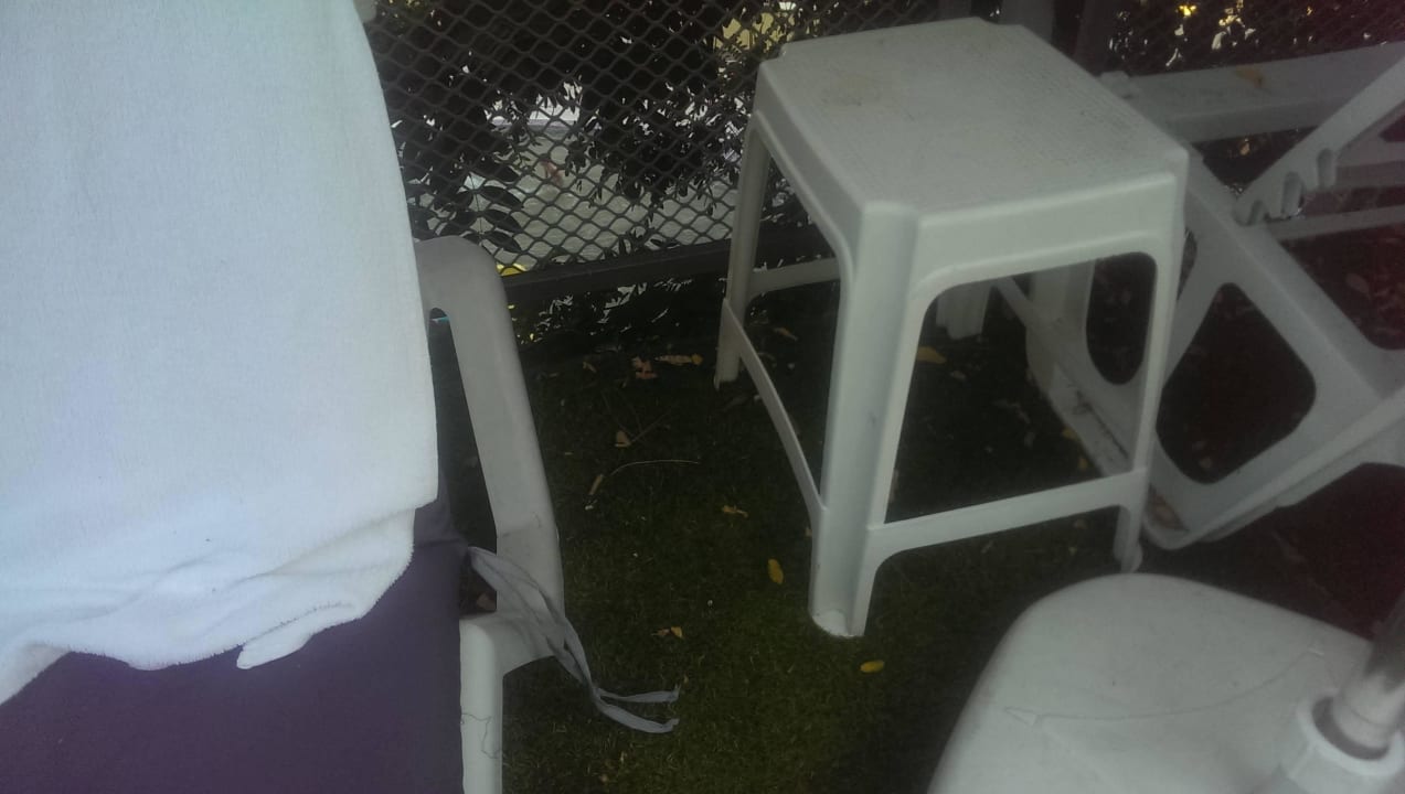 Blätter von dem trockenen , abgestorbenen Bäumen  Park Hotel Golden Beach