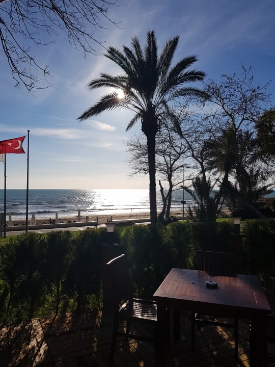 Strand Side Star Elegance