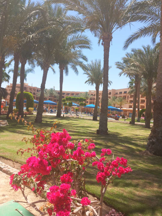 Außenansicht Continental Hotel Hurghada