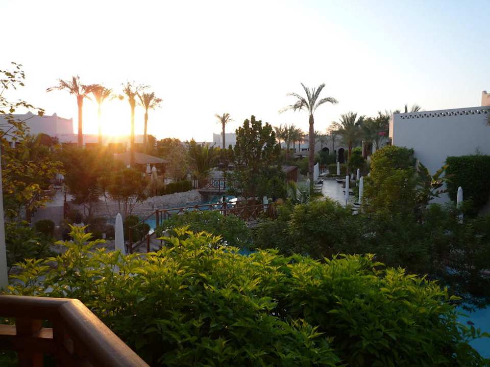 Ausblick Ghazala Gardens