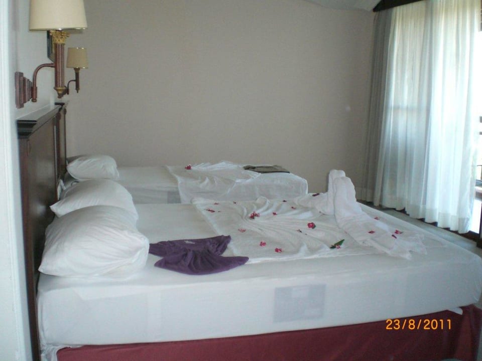 Zimmer geschmückt Papillon Zeugma Relaxury