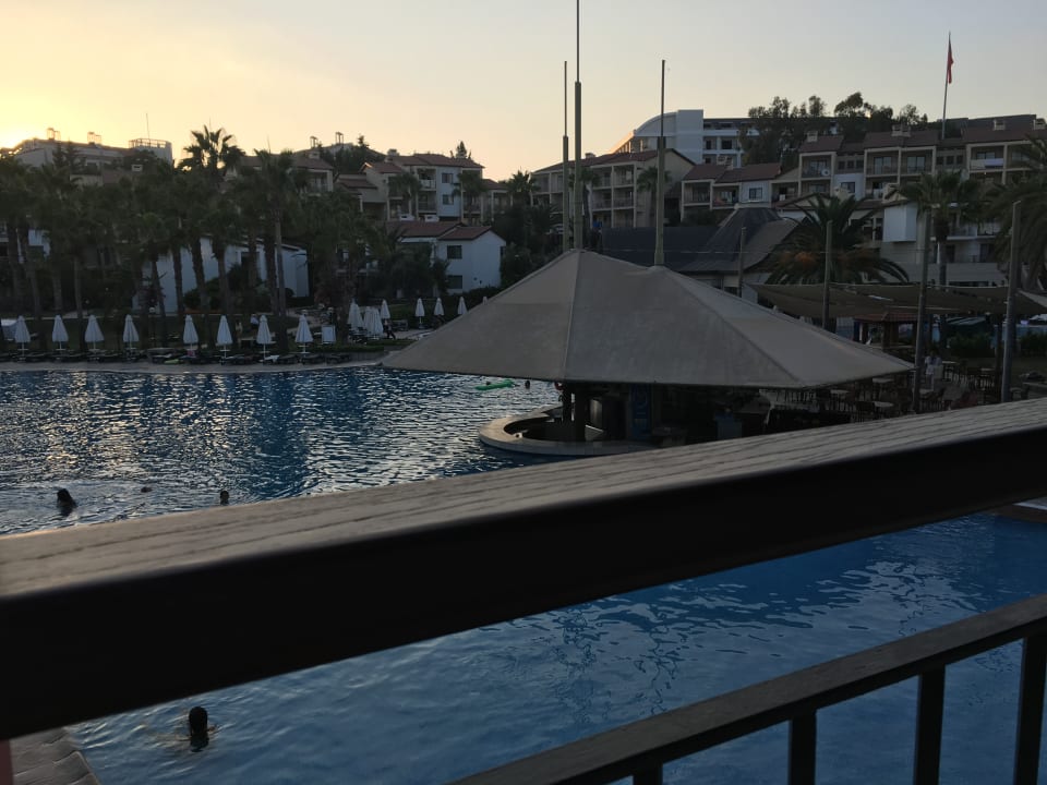 Ausblick Arum Barut Collection