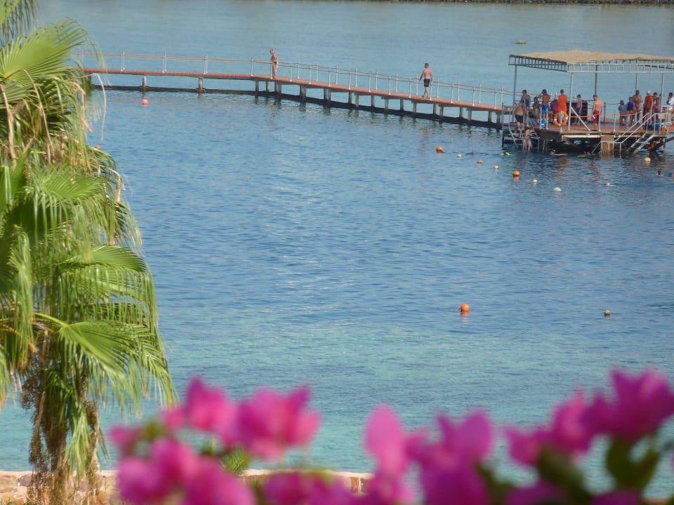 Taucher- und SchnorchlerEinstieg Steigenberger Coraya Beach - Adults only