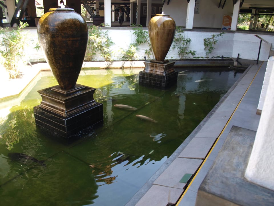Teich im Eingangsbereich Club Hotel Dolphin