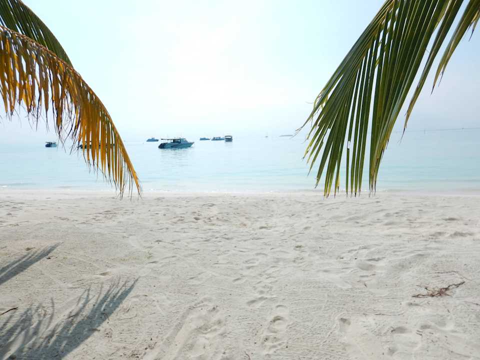 Der Blick von unseren Liegen Meeru Maldives Resort Island
