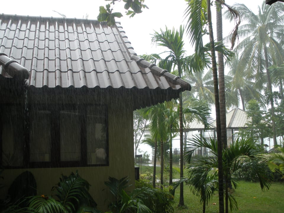 Aussicht aus dem Zimmer NH Collection Samui Peace Resort