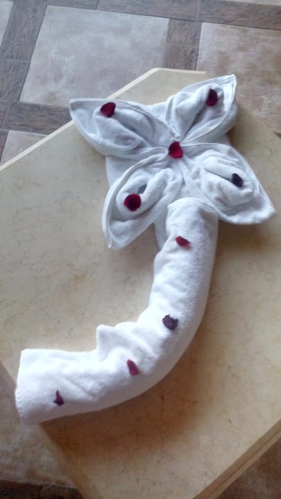 Zimmer Pickalbatros Citadel Resort