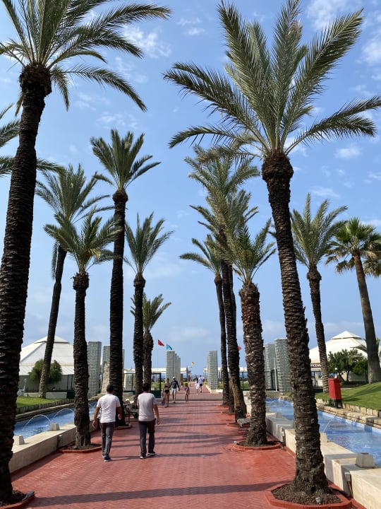 Gartenanlage Monachus Family Resort Sorgun